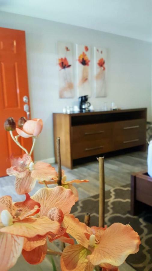 Quinta Arratz Hotel Villa de Juarez ภายนอก รูปภาพ
